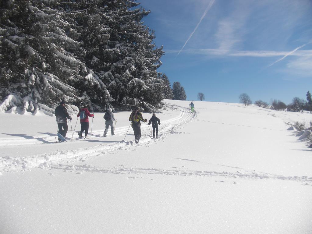 Chalet Luxe 12 Personnes Spa Sauna Vosges-Gerardmer Le Tholy Luaran gambar