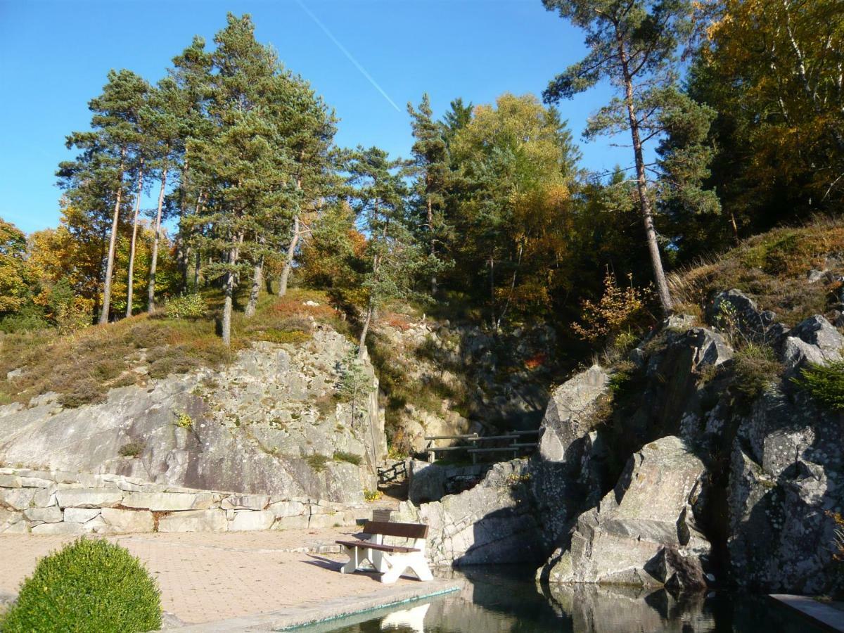 Chalet Luxe 12 Personnes Spa Sauna Vosges-Gerardmer Le Tholy Luaran gambar
