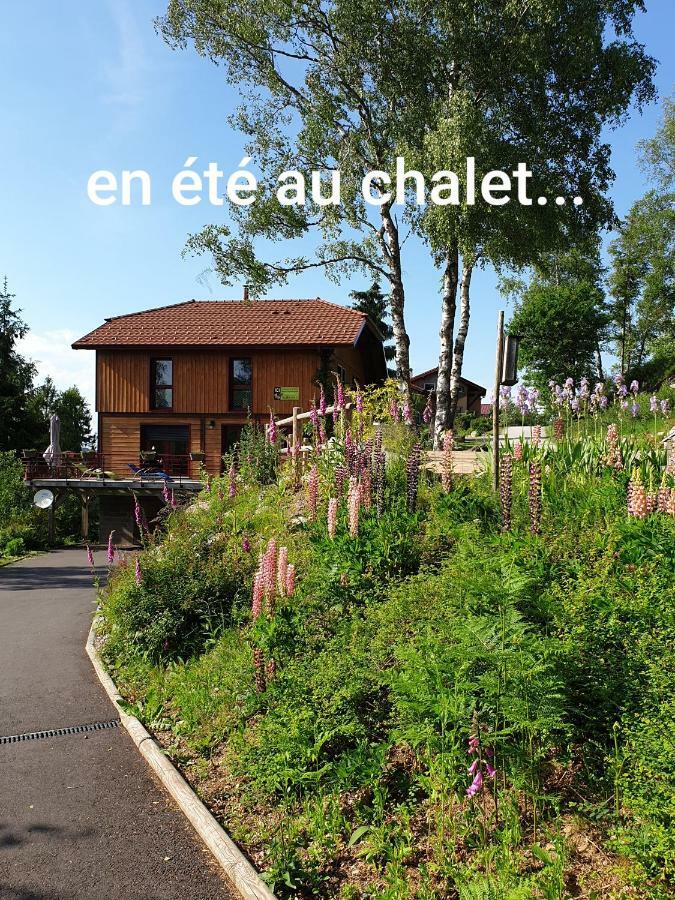 Chalet Luxe 12 Personnes Spa Sauna Vosges-Gerardmer Le Tholy Luaran gambar